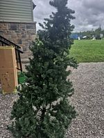 Full view of assembled artificial tree outdoors