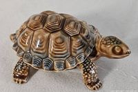 Closed turtle trinket box side view