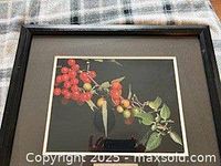 Front view of framed currant photograph, showing image and matting