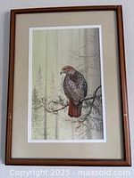 Full view of framed painting showing hawk, mat and frame