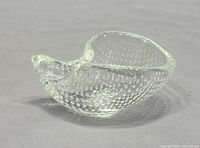 oblique view of clear bullicante shell bowl