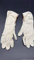 full view of both gloves laid flat, palm side up