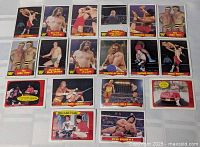 Full set of 16 WWF cards laid out in four-by-four grid