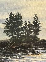 Detail of evergreen trees on rocky shore