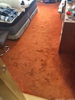 Overall view of burnt orange shag rug extending from doorway into room