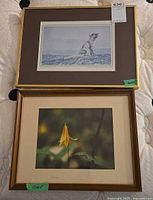 Front view of both framed prints: arctic fox and yellow flower