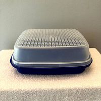 Closed Season-Serve container showing frosted lid and blue base