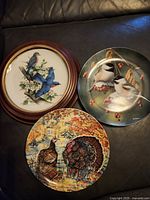 Three collector plates arranged on a dark surface