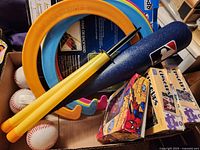 Overview showing foam bat, baseballs, flying rings, horseshoes, stakes, puzzles