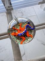 Top view of clear glass paperweight showing orange salamander with blue spots over frit base