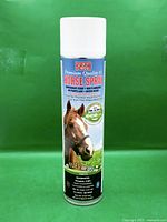 Full view of Doktor Doom horse spray can front