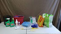 Full lot on table showing all cleaning items, buckets, bottles, brush, duster, filter, bags