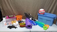 Wide shot showing entire assortment of sports, Halloween, storage and game items