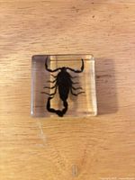 Top view of acrylic block showing full scorpion