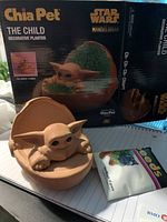 Planter, seed packet, box visible together