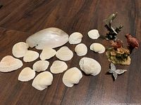 Group view of shells, dolphin figurine, cardinal figurine, butterfly