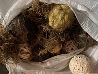 Open bag showing mixed filler balls, moss