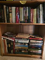 Full view of two-shelf bookcase showing mix of hardcover and paperback titles