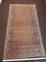 Full view of entire rug showing pattern and borders