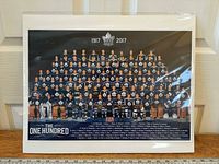 Full view of framed facsimile print with ruler for scale