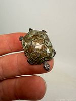 Top view of turtle brooch showing green enamel shell and silver body