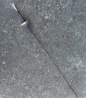 Full view of entire fencing sword laid flat showing length and proportions