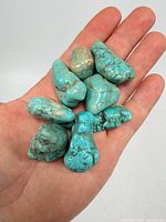 Nine turquoise stones in hand, showing color and size