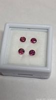 Four round rubies in display case
