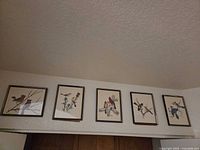 Five framed bird prints mounted on wall