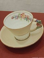 Teacup interior floral design and saucer
