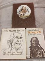 Front view of all three books in lot