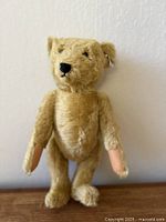 Full front view of Steiff teddy standing