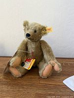 Full view of Steiff mohair teddy bear sitting upright with tags attached