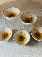 Top view of all five Denby Minstrel bowls displaying floral interiors