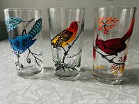 Front view of all three bird-themed glasses