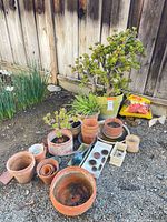 Group of pots, plants, watering bulb, floral frogs, potting mix