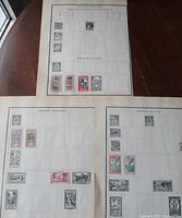 Overview of three album pages with mounted French colonial stamps