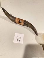 Full view of horn showing curvature and wood block