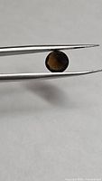 Round faceted cognac tourmaline held in tweezers, face view