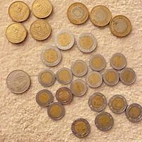 All twenty-one coins laid out showing obverse sides