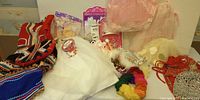 Full lot view showing embroidered costume, tutus, packaged tiaras, wands, beaded items