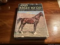 Front cover of hardcover book showing title, author, and color image of Witez II