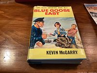 Front cover of book displaying title, series, author and artwork