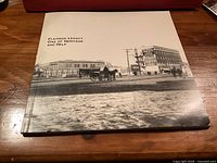 Front cover of hardcover book showing title and image