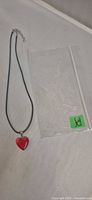 Necklace laid out beside clear plastic bag showing pendant and cord