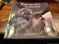 Front cover of Spirits in the Sky book
