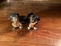 Front view of both dachshund shakers