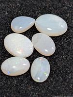 Close-up of six opal cabochons on black background