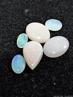 Group of six opal cabochons on black background