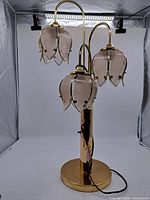 Full view of brass lamp with three tulip shades